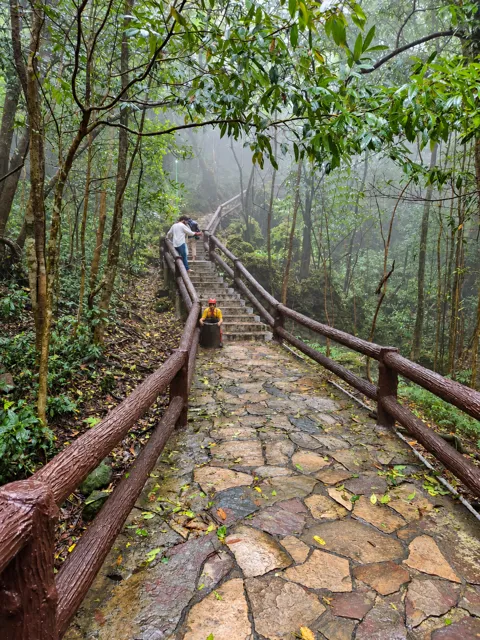 Stone steps winding through a misty forest